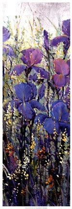 Iris Field II