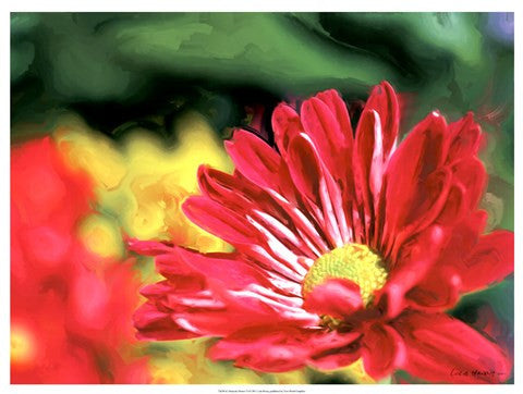 Painterly Flower VI