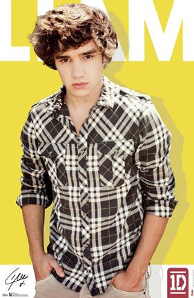 One Direction - Liam Payne