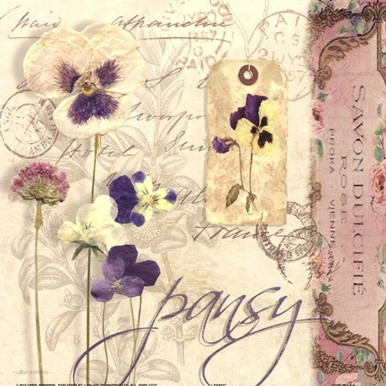 Pansy