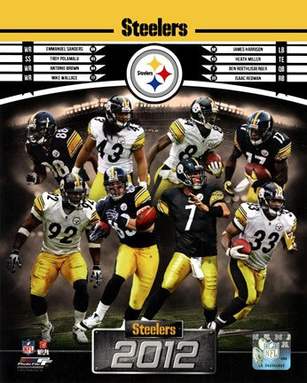 Pittsburgh Steelers 2012 Team Composite