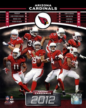 Arizona Cardinals 2012 Team Composite