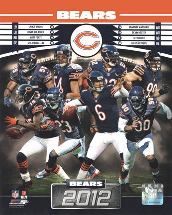 Chicago Bears 2012 Team Composite