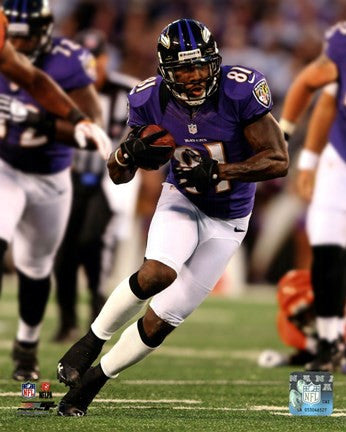 Anquan Boldin 2012 Action