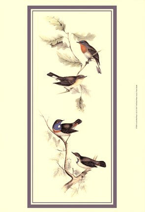 Gould Bird Panel I