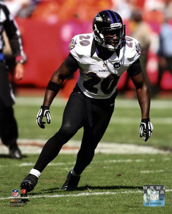 Ed Reed 2012 Action