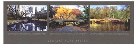 Central Park Bridges