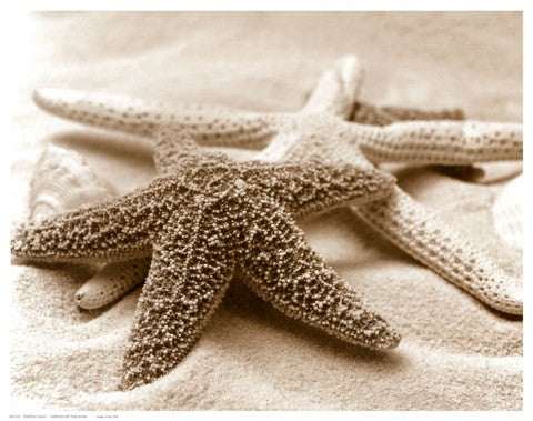 Starfish Family