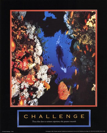 Challenge - Diver