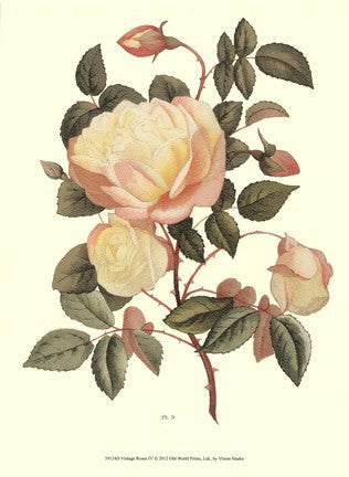 Vintage Roses IV