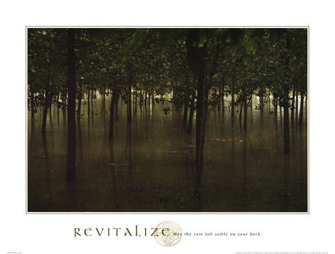 Revitalize - Forest