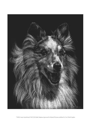 Canine Scratchboard VIII