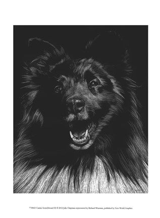 Canine Scratchboard IX