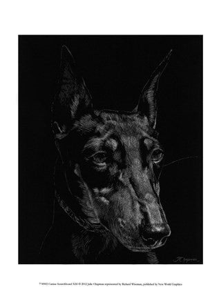 Canine Scratchboard XIII