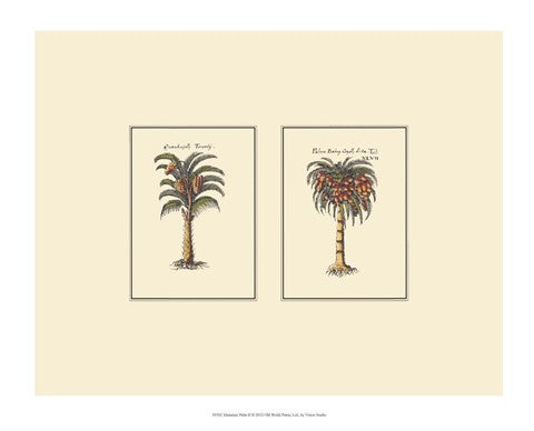 Miniature Palm II