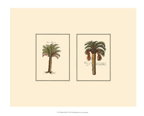 Miniature Palm IV