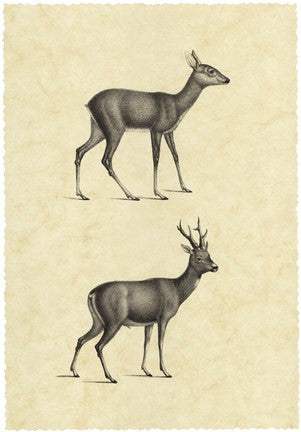 Vintage Deer I