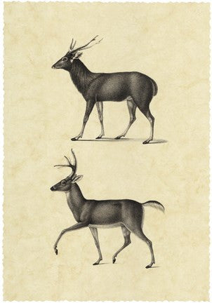 Vintage Deer II