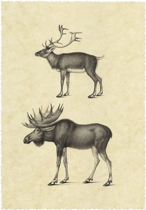 Vintage Elk