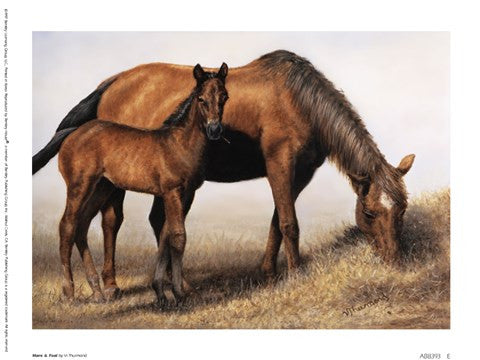 Mare and Foal