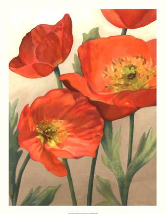 Poppy Love I