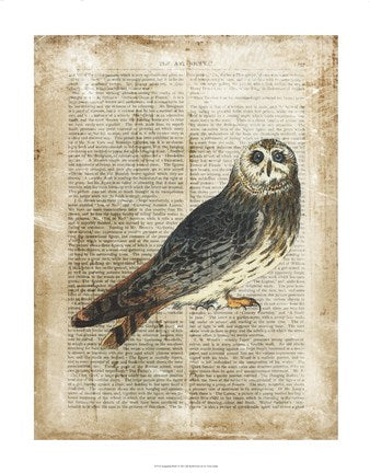 Antiquarian Birds I