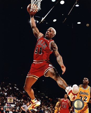 Dennis Rodman 1995-96 Action