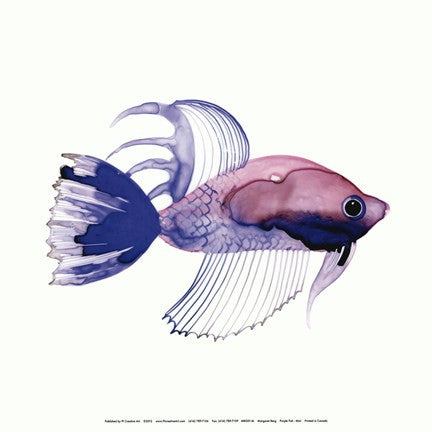 Purple Fish