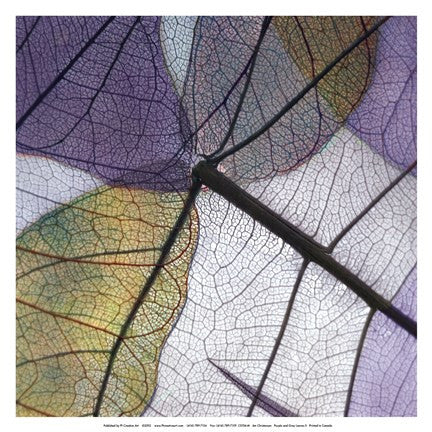 Purple and Grey Leaves II