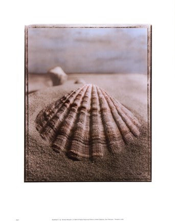 Seashell II