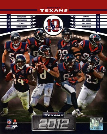 Houston Texans 2012 Team Composite