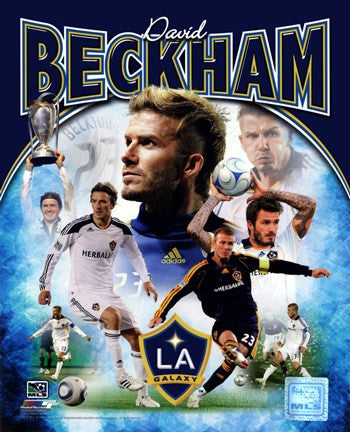 David Beckham 2012 Portrait Plus