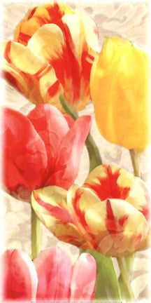 Glowing Tulips I