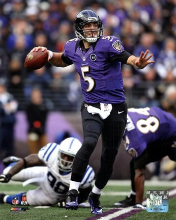 Joe Flacco 2012 Playoff Action