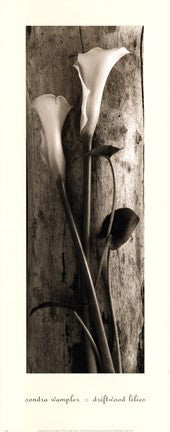 Driftwood Lilies