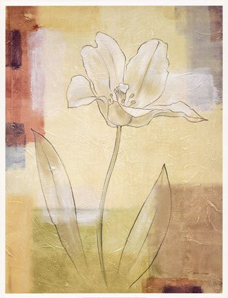 TULIP STUDY I