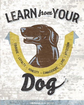 Learn From Your Dog