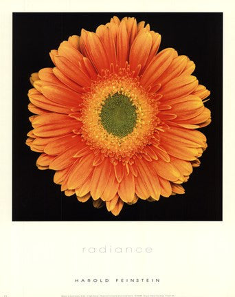 Radiance