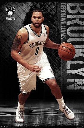 Nets - D Williams 12