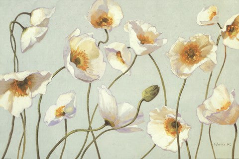 White And Bright Poppies