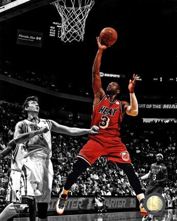 Dwyane Wade 2012-13 Spotlight Action