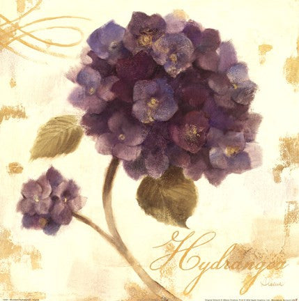 Abundant Hydrangea I