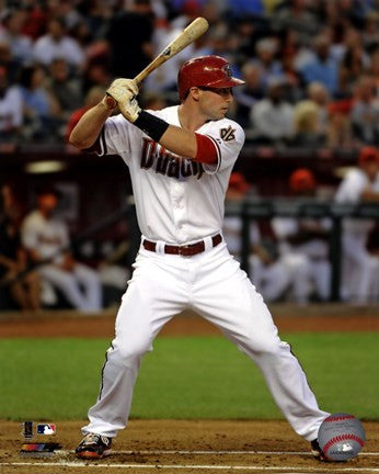 Paul Goldschmidt 2013