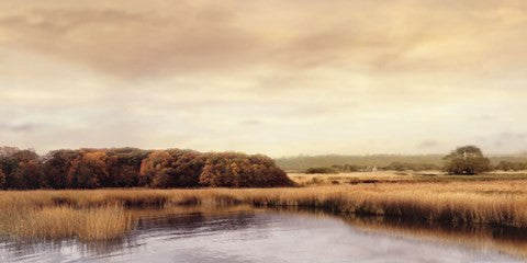 Ripples On the Water