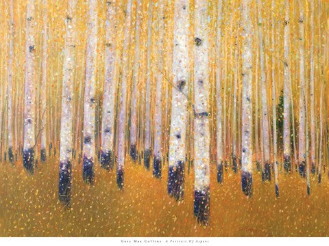 A Portrait Of Aspens