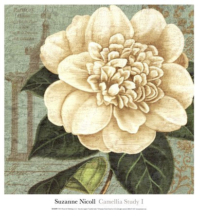 Camellia Study I