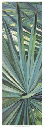 Fan Palm I