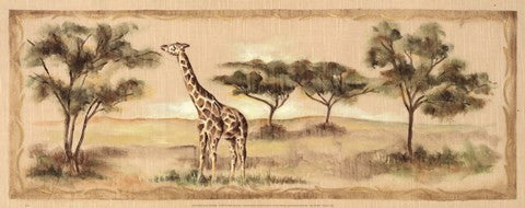 Safari Giraffe