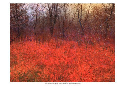 Red Grass I