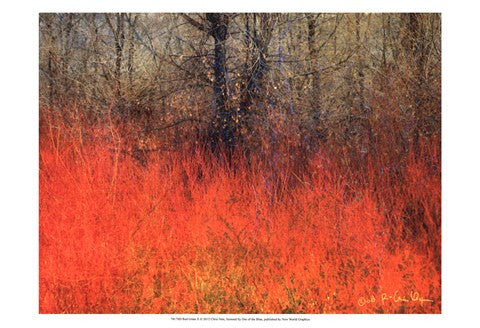 Red Grass II